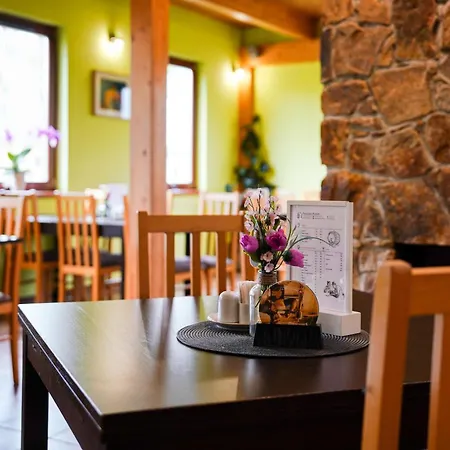 Hotel Penzion Putim 3*